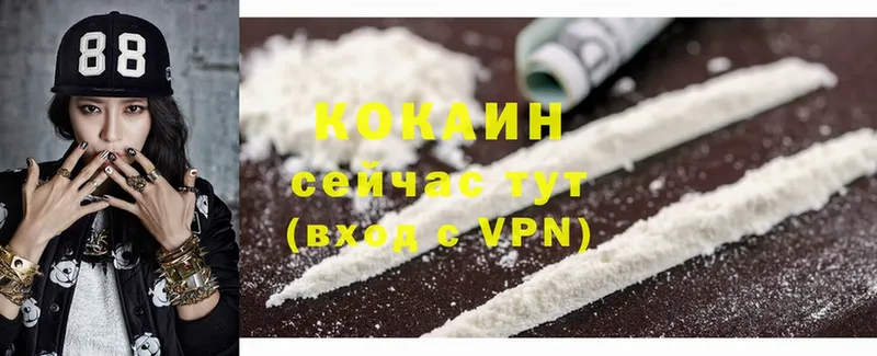 гидра ТОР  Змеиногорск  Cocaine FishScale  что такое  